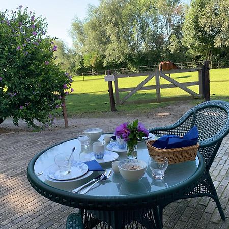 Luxury Guest House - Eik Aan De Dijk Aalst Zewnętrze zdjęcie