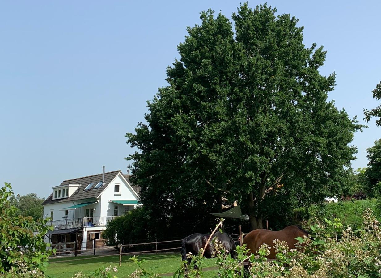 Luxury Guest House - Eik Aan De Dijk Aalst Zewnętrze zdjęcie
