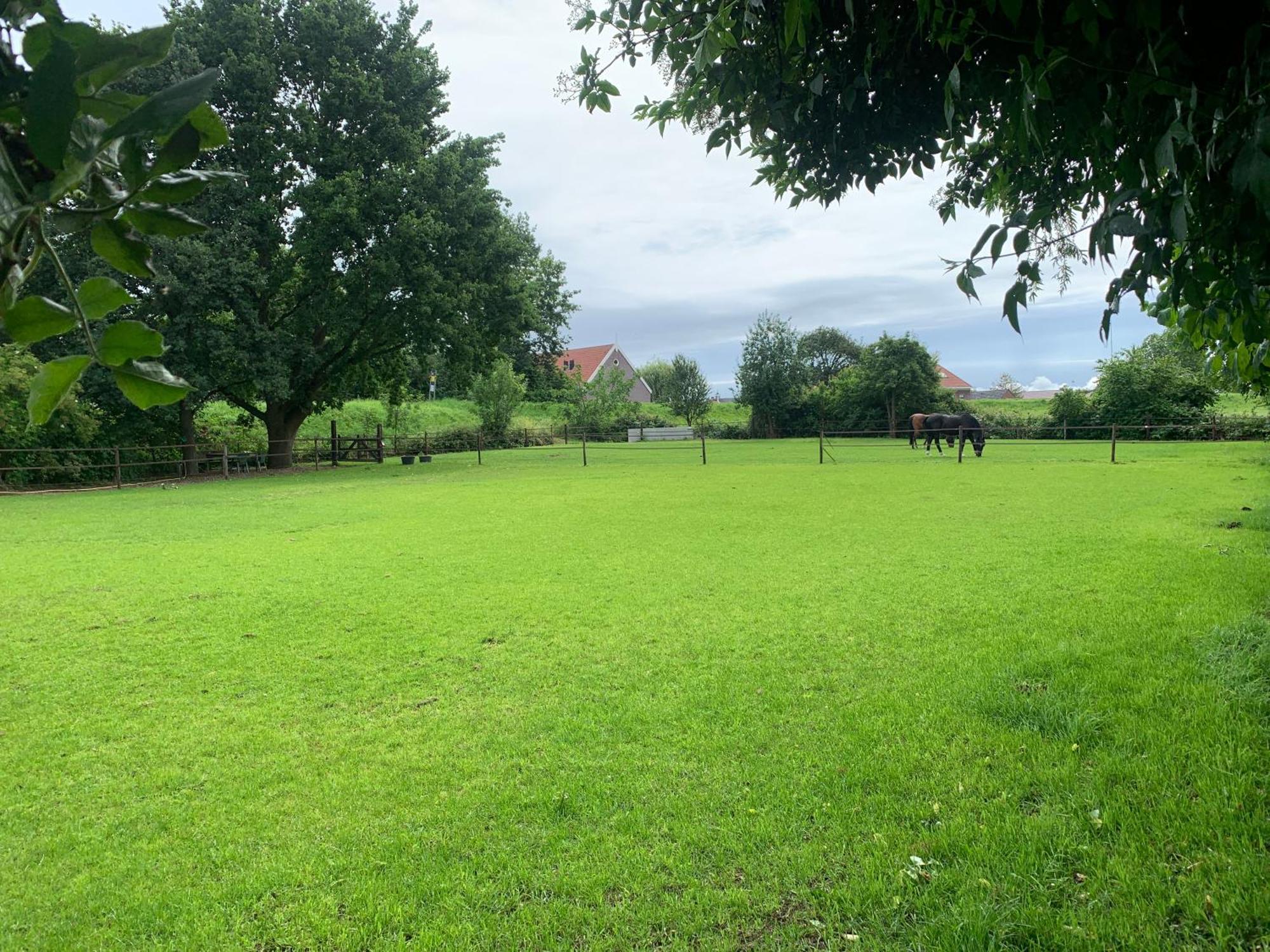 Luxury Guest House - Eik Aan De Dijk Aalst Zewnętrze zdjęcie