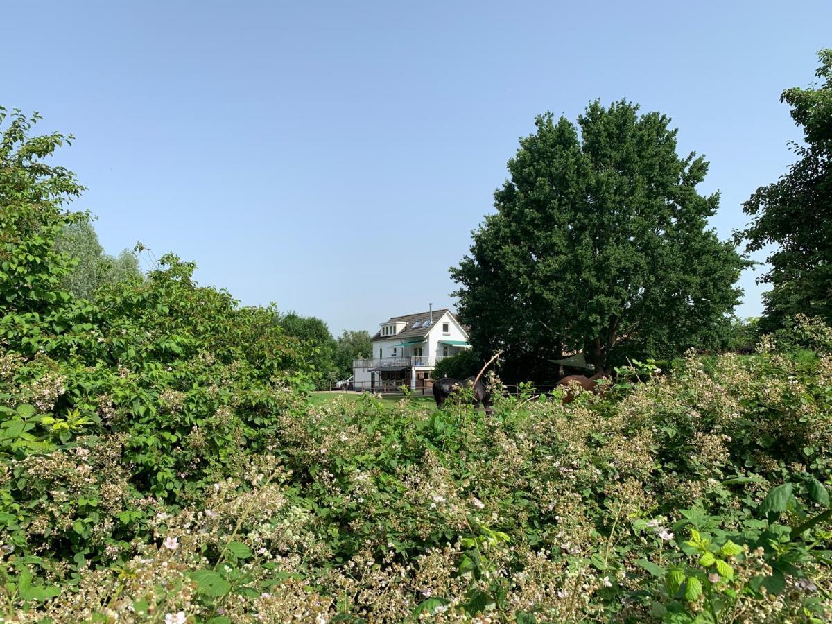 Luxury Guest House - Eik Aan De Dijk Aalst Zewnętrze zdjęcie